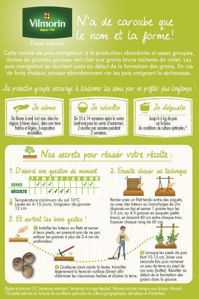 Légumes Secs - Pois Mangetout Carouby de Maussane - 20 m - MEDIA_PACKAGING_VERSO